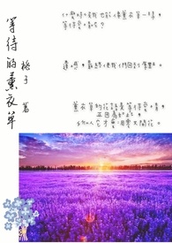 薰衣草全部歌曲