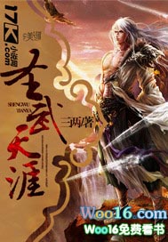 圣武天涯TXT下载完结版