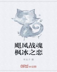 飓风战魂枫冰文小说