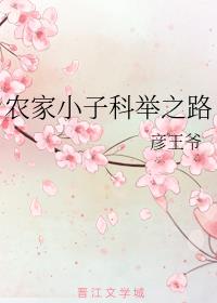 农家小子科举之路全文免费阅读