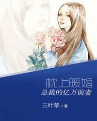 枕上宠婚总裁前妻很抢手