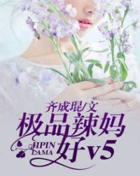 极品辣妈好v5结局是什么