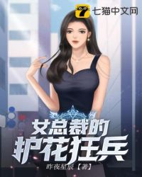 女总裁的护花狂兵 小说