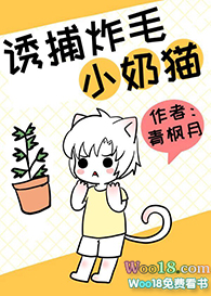 诱捕炸毛小奶猫的方法