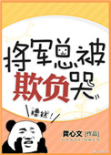 将军总被欺负哭全