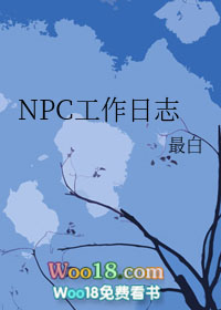 npc工作日志免费阅读