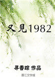 又见1982评价