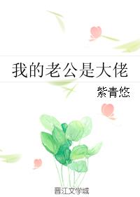 我的老公是大佬TXT下载小说