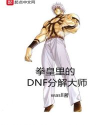 拳皇dnf分解大师in 小说