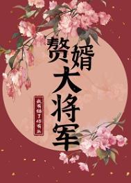 赘婿里面的将军