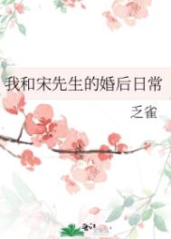 与宋先生小说笔方