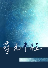 《寻光》作者:就.不告诉你