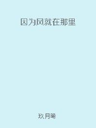 因为风就在那里结局