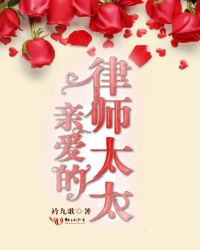 亲爱的律师太太全文免费阅读无弹窗