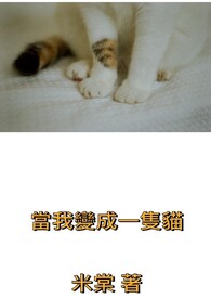 当我变成一只猫四百字作文