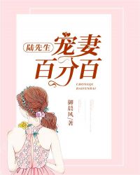 陆先生宠妻百分百