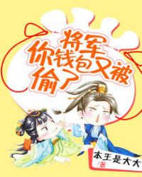 将军,你钱包又被偷了