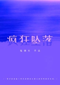 《疯狂》小说