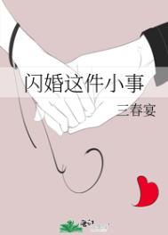 闪婚两三事小说