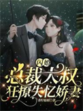 闪婚大叔超暖甜