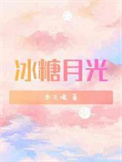 冰糖月光讲的什么