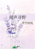 闻声寻野最新章节更新内容