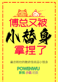 傅总又被小替身拿捏了小说免费阅读百度云