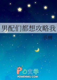 《男配攻略系统》 已坑