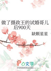 摄政王执意娶新侧妃